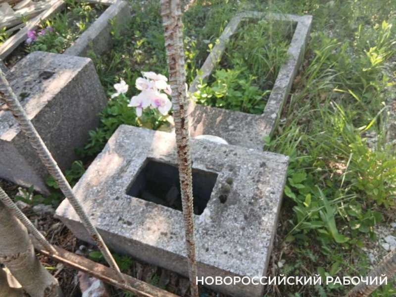В Новороссийске Мефодиевское кладбище встречает сиренью