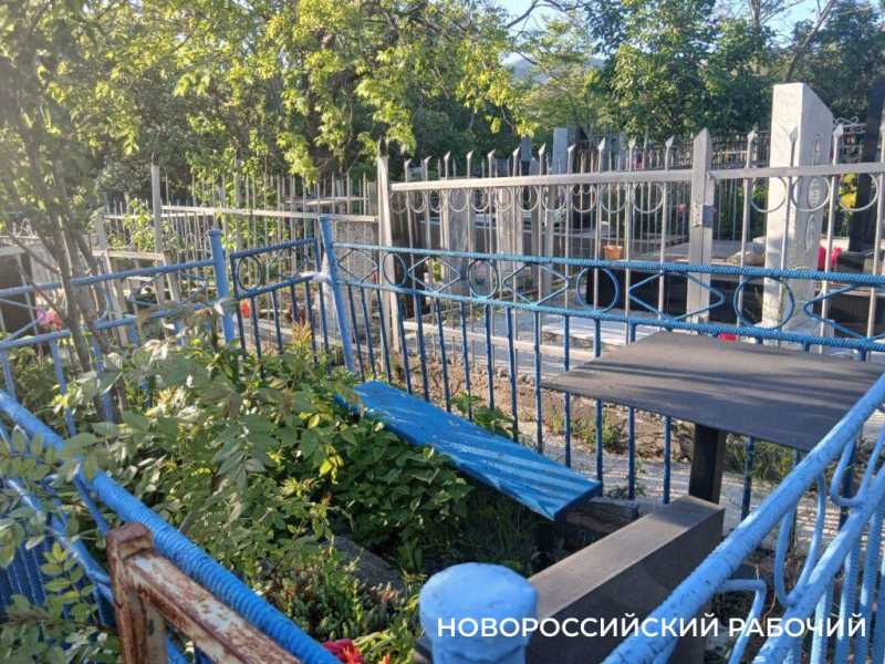 В Новороссийске Мефодиевское кладбище встречает сиренью
