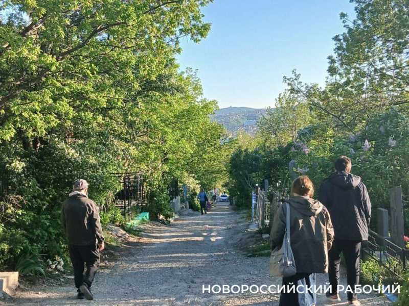 В Новороссийске Мефодиевское кладбище встречает сиренью