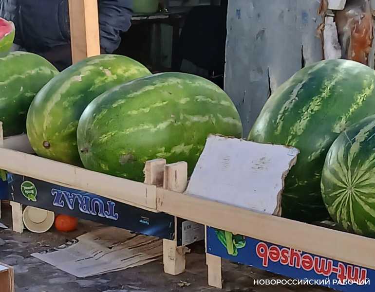 В Новороссийске начали торговать арбузами из Ирана