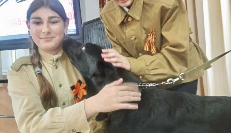 В Новороссийске полицейские-кинологи и учащиеся профильных классов рассказывают сверстникам о роли собак в годы Великой Отечественной войны