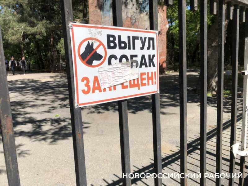 В парках Новороссийска появились friendly призывы вести себя прилично