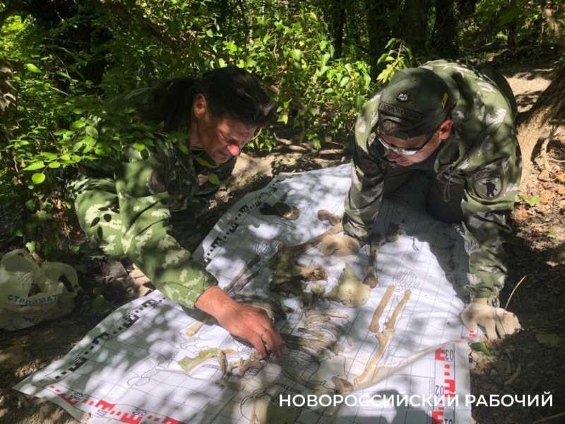 В пригороде Новороссийска найдены останки красноармейца