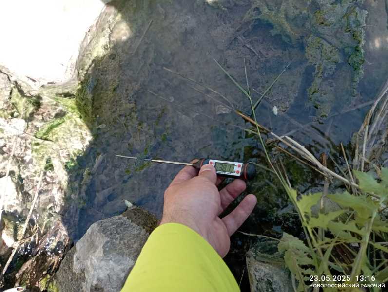 В пруду на особо охраняемой территории Новороссийска вода нагрелась до +38 градусов