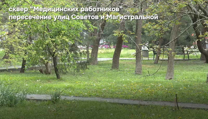 55 711 новороссийцев уже сделали свой выбор за территорию, которая будет благоустроена благодаря нацпроекту «Инфраструктура для жизни»
