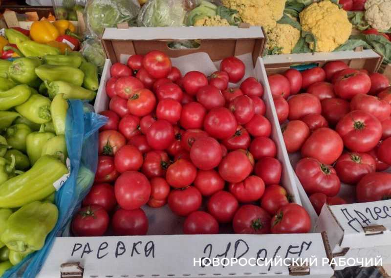 Фермер раскрыл «НР»секреты самого вкусного помидора на рынках Новороссийска