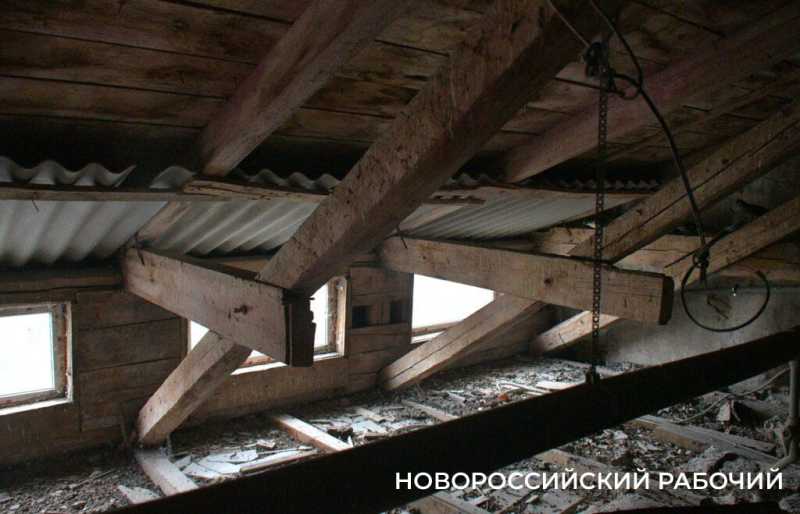 Как в Новороссийске Дворец помогает студентам Политеха и при чем тут «Кошкин дом»