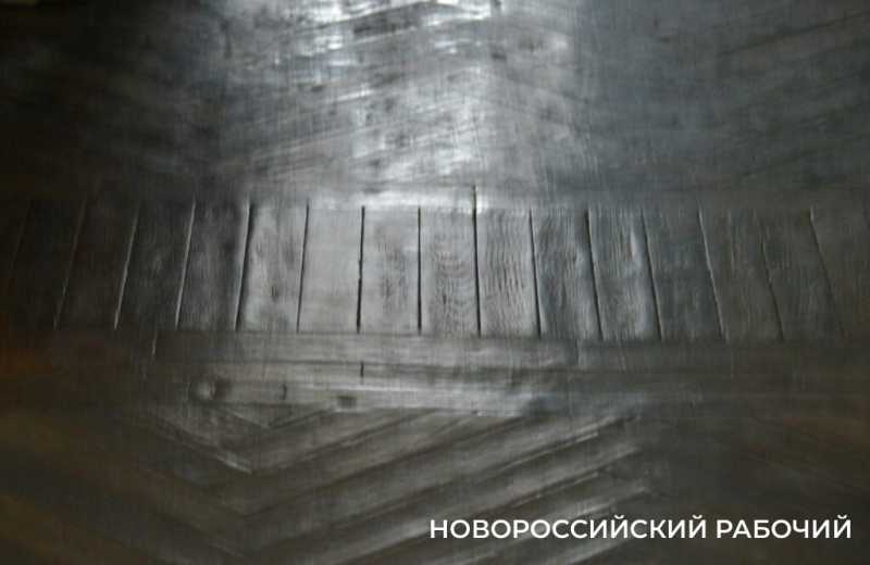 Как в Новороссийске Дворец помогает студентам Политеха и при чем тут «Кошкин дом»