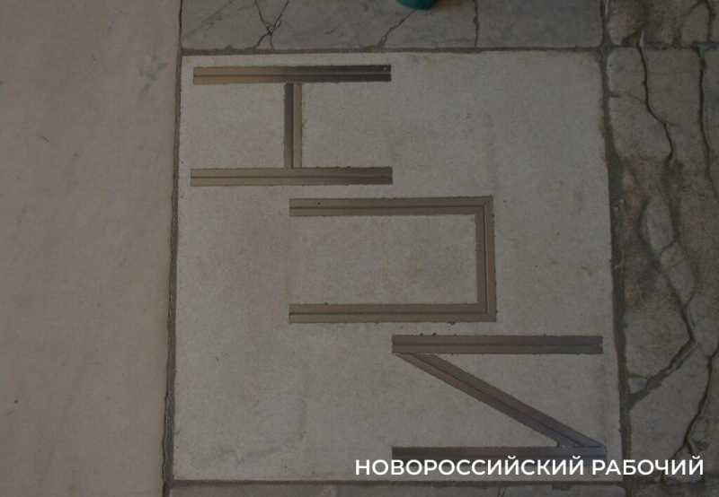 Как в Новороссийске Дворец помогает студентам Политеха и при чем тут «Кошкин дом»