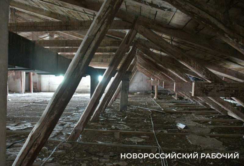 Как в Новороссийске Дворец помогает студентам Политеха и при чем тут «Кошкин дом»