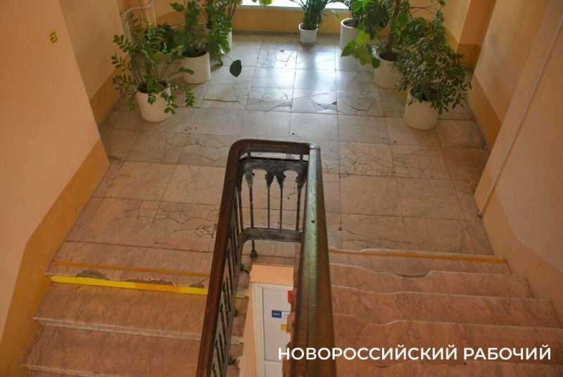 Как в Новороссийске Дворец помогает студентам Политеха и при чем тут «Кошкин дом»