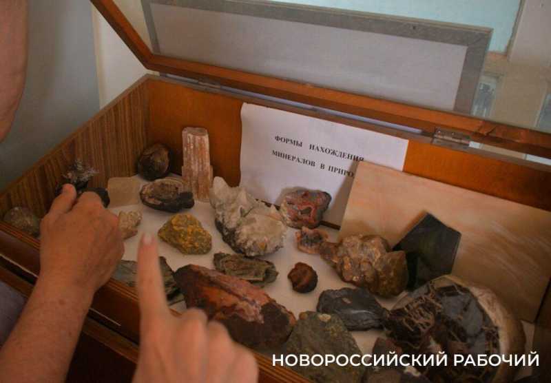 Как в Новороссийске Дворец помогает студентам Политеха и при чем тут «Кошкин дом»