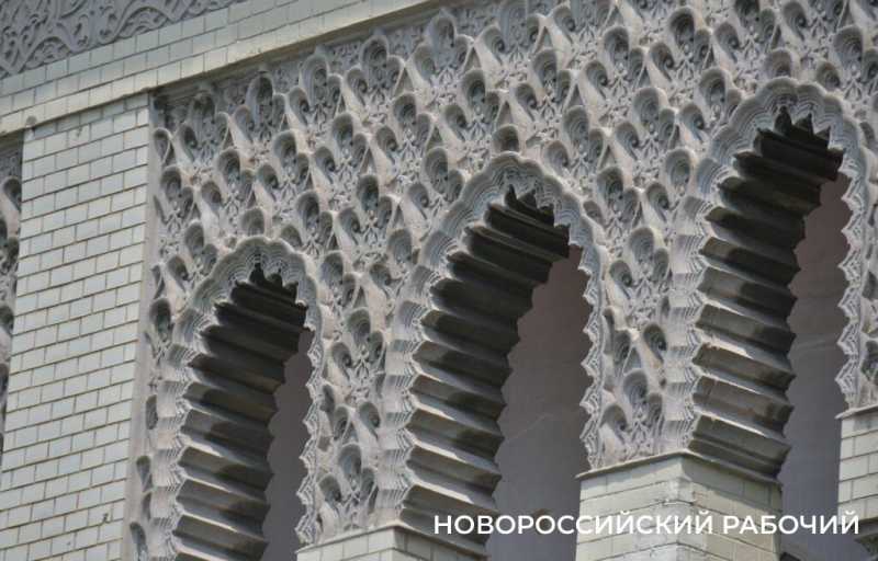 Как в Новороссийске Дворец помогает студентам Политеха и при чем тут «Кошкин дом»