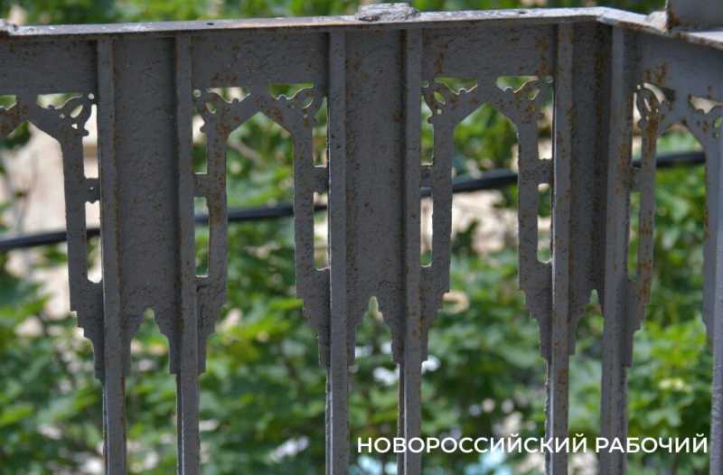 Как в Новороссийске Дворец помогает студентам Политеха и при чем тут «Кошкин дом»