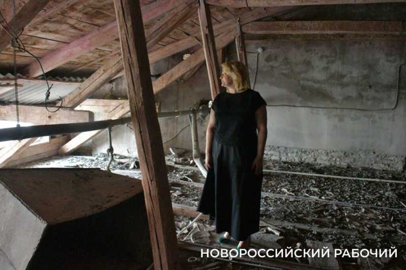 Как в Новороссийске Дворец помогает студентам Политеха и при чем тут «Кошкин дом»