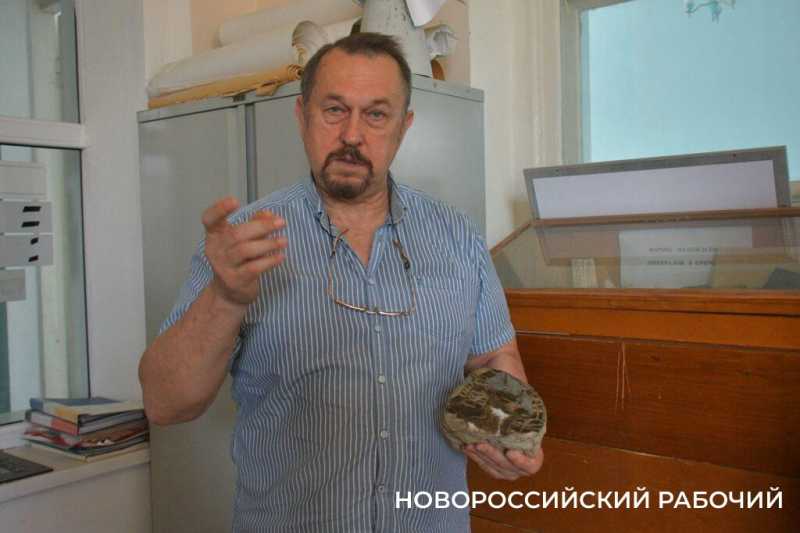 Как в Новороссийске Дворец помогает студентам Политеха и при чем тут «Кошкин дом»