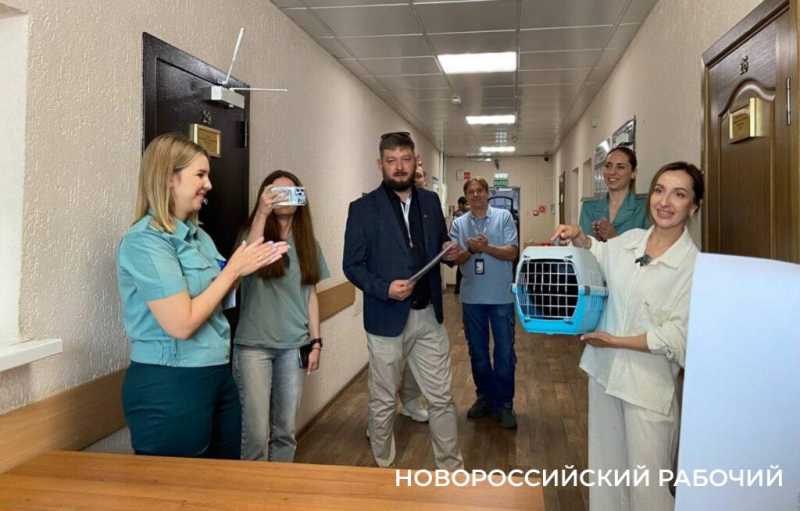На «кис-кис» пока не откликается! В Новороссийске усыновили кота-нелегала из Турции