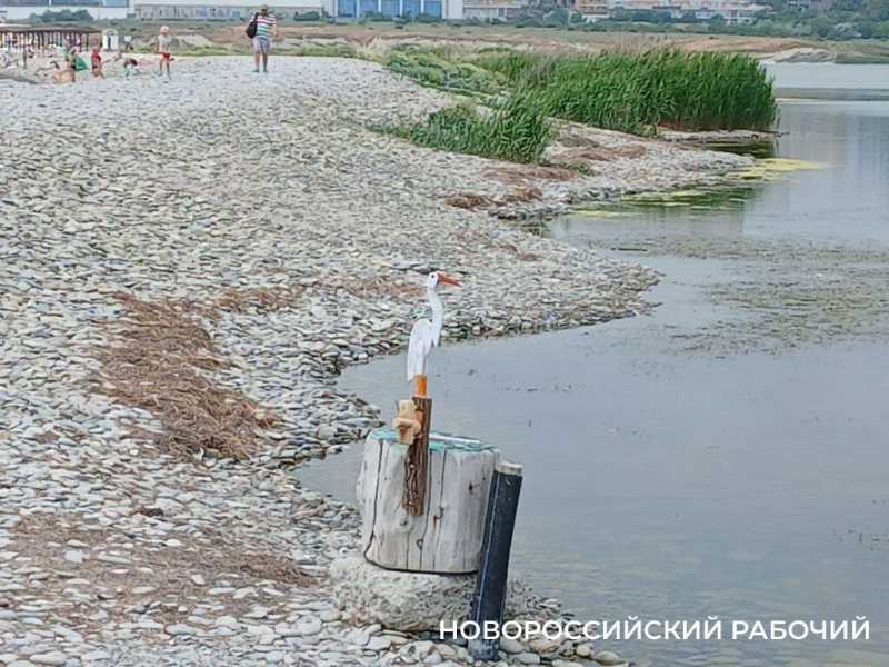 На пляже Новороссийска разглядывают наивные сцены из жизни «деревянных» отдыхающих