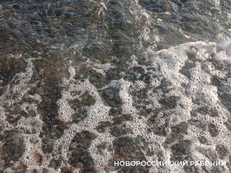 Началось! На пляжи под Новороссийском съезжаются курортники со всей страны