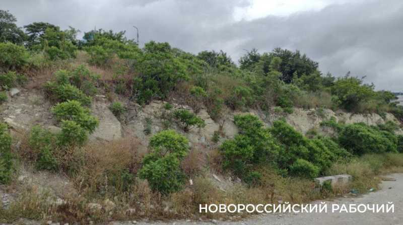 Новороссийцы готовятся выступить в Верховном суде и отстоять свой пляж