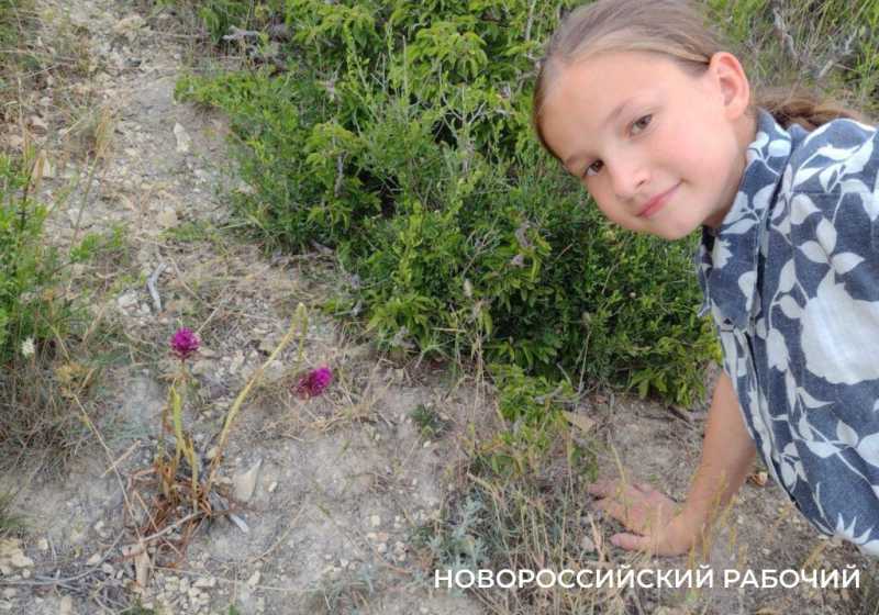 Новороссийцы нашли у моря волшебное место для вечерних чаепитий