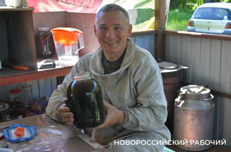 Новороссийские пчеловоды поселились вдали от цивилизации ради «правильного меда»