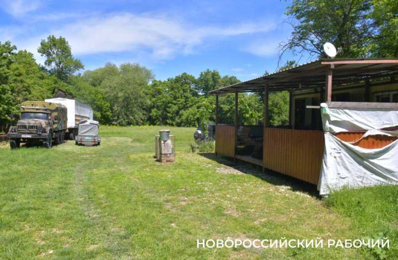 Новороссийские пчеловоды поселились вдали от цивилизации ради «правильного меда»