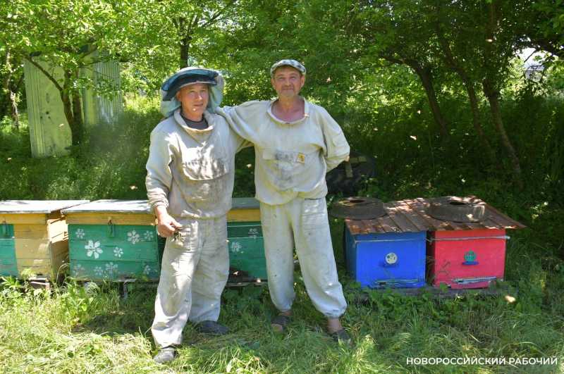 Новороссийские пчеловоды поселились вдали от цивилизации ради «правильного меда»