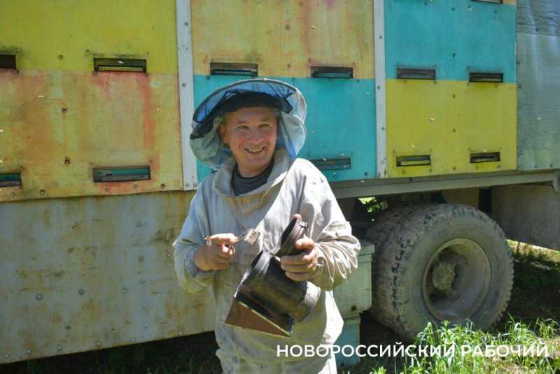 Новороссийские пчеловоды поселились вдали от цивилизации ради «правильного меда»