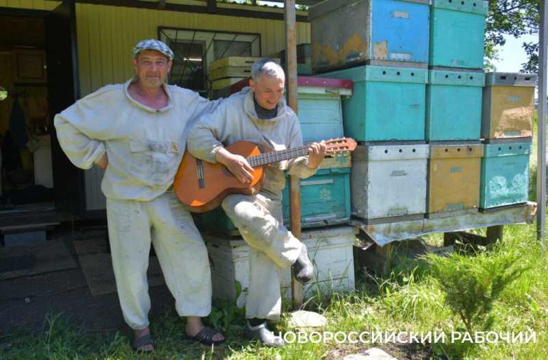 Новороссийские пчеловоды поселились вдали от цивилизации ради «правильного меда»