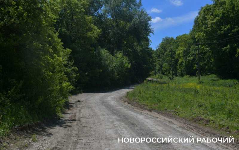 Новороссийские пчеловоды поселились вдали от цивилизации ради «правильного меда»