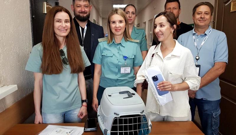 Новороссийские таможенники оформили кота Бурака из Турции