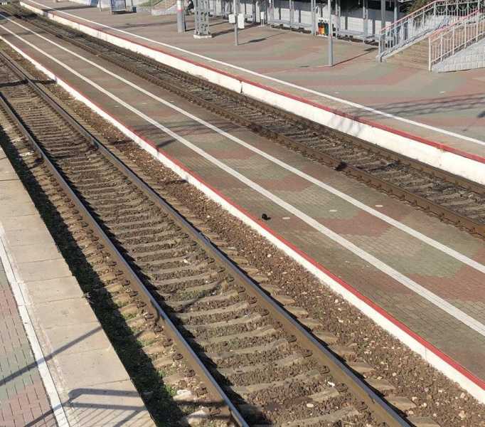 Поезд Новороссийск-Екатеринбург задержали из-за подрыва путей