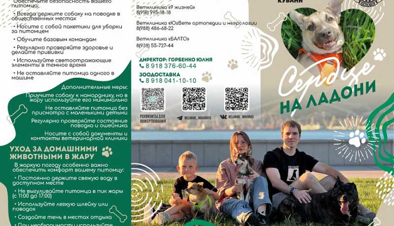 «Сердце на ладони»: новороссийские эковолонтеры, объединенные АНО «Белобог», продолжают помогать животным и их хозяевам