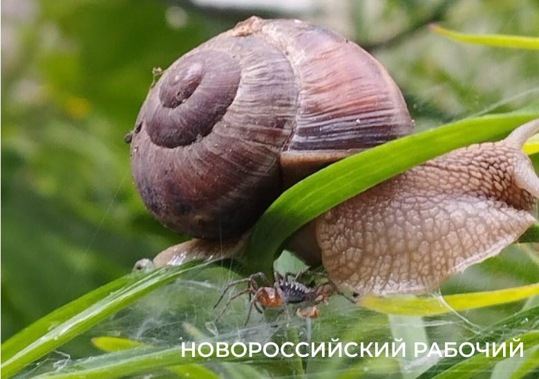 Советы дня на 13 июня: о запрете отправлять детей посылками, метании топора и божьих коровках