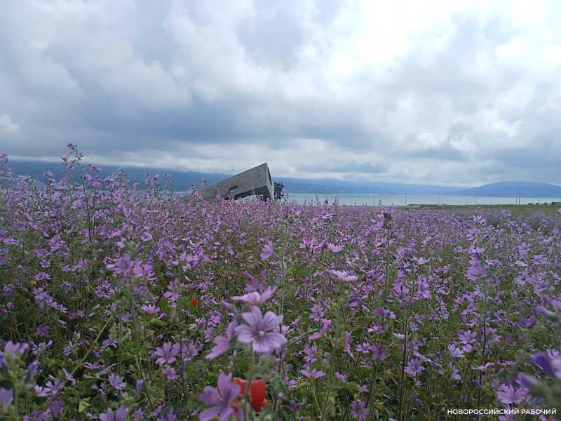 Советы дня на 9 июня: о медучилище, архиве и аккредитации