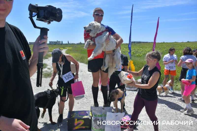 В Новороссийске героиней забега стала собачка на трех лапках