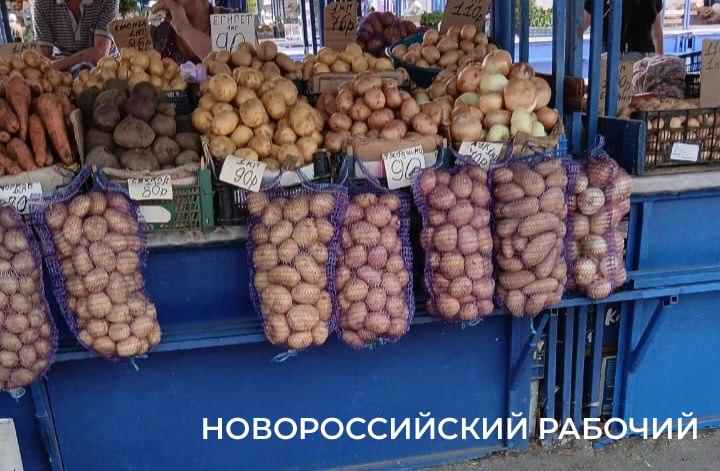 В Новороссийске картошка нового урожая сравнялась по ценам с прошлогодней
