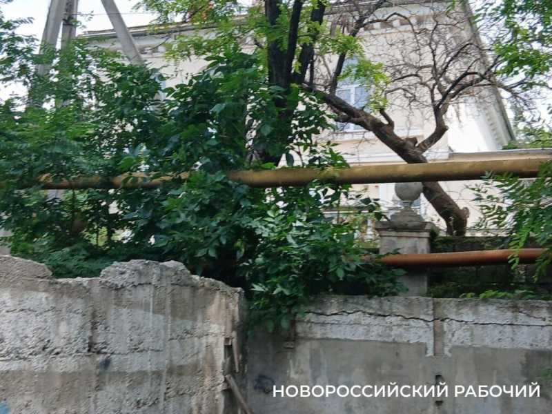 В Новороссийске на даче гласного дореволюционной Думы проводят депутатские приемы