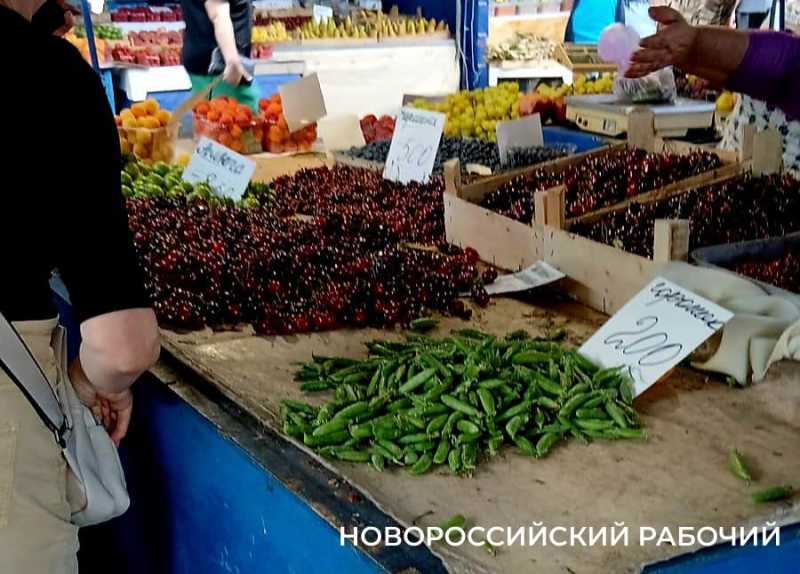 В Новороссийске началась пора свежих витаминов: что почем?