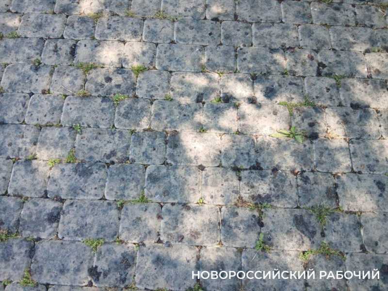 В Новороссийске народные уличные ягоды продаются по цене экзотики