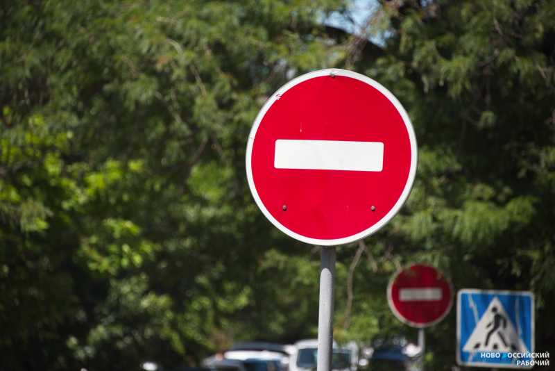 В Новороссийске обрежут около 300 деревьев, чтобы было видно дорожные знаки