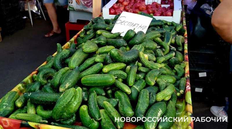 В Новороссийске появилась клубника по 100 рублей за ящик и бесплатные огурцы