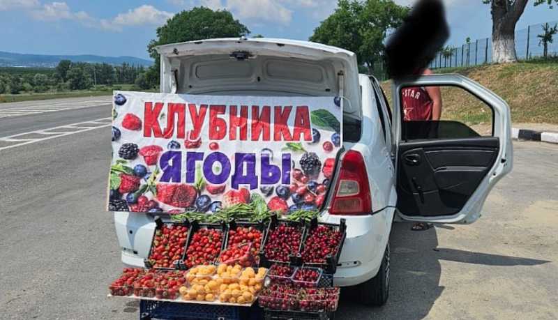 В Новороссийске с начала года составлено 90 административных протоколов за осуществление несанкционированной торговли