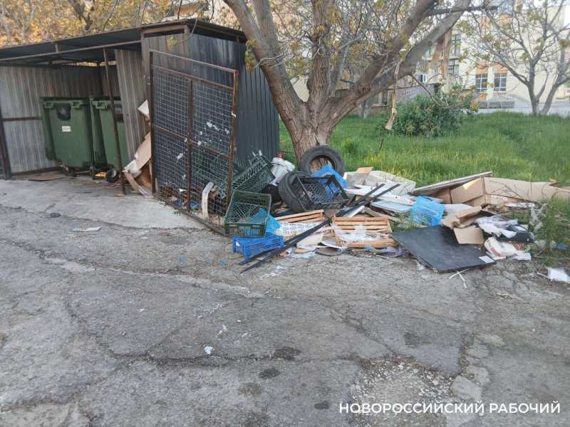 В Новороссийске с приходом нового регоператора вывоз мусора не подорожает