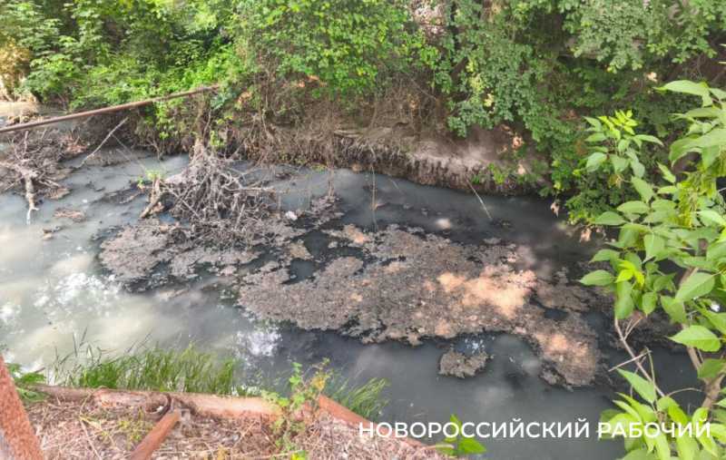 В Новороссийске возле пляжа поставили забор, чтобы … не воняло канализацией