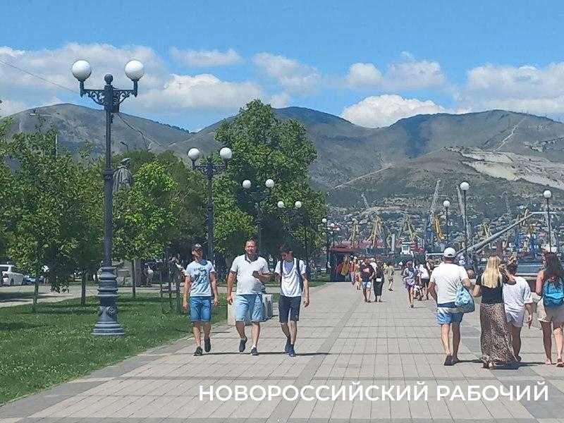 В Новороссийске выросла аренда квартир в «высокий сезон»