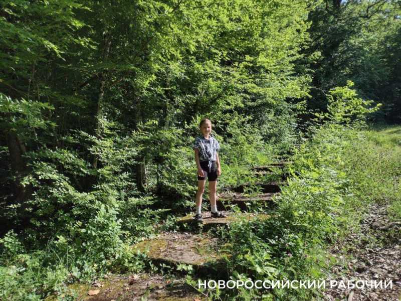 Зачем искатели сокровищ раскопали полы в дольменах под Новороссийском