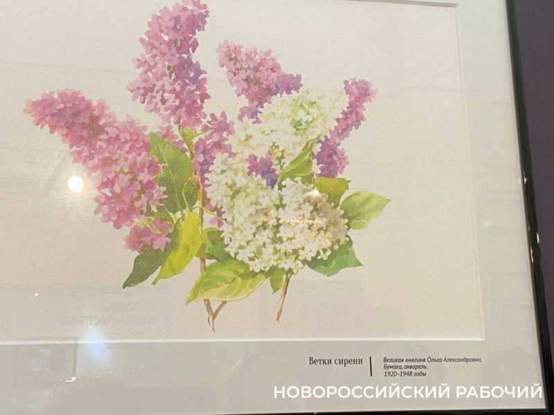Что связывало великую княгиню Ольгу с Новороссийском?