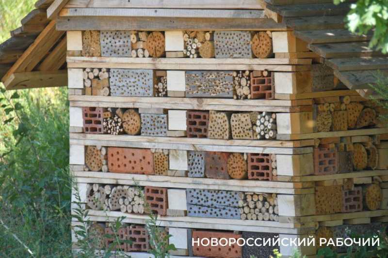 Домик для жужелиц и место силы и уникальный акратофор. Куда поехать отдохнуть из Новороссийска
